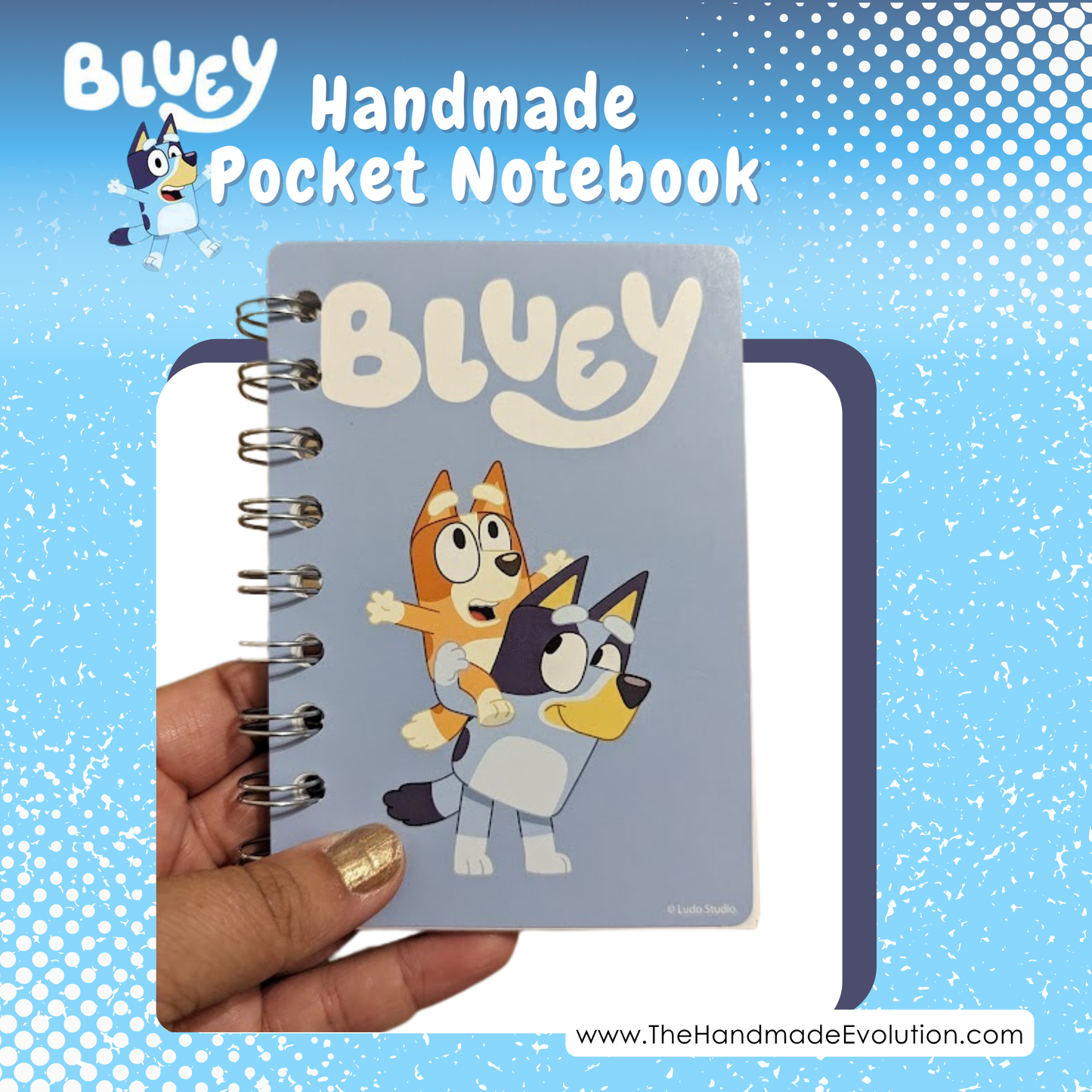 Bluey Party Favor Bundle Pack